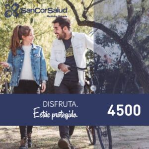 7. Plan 4500